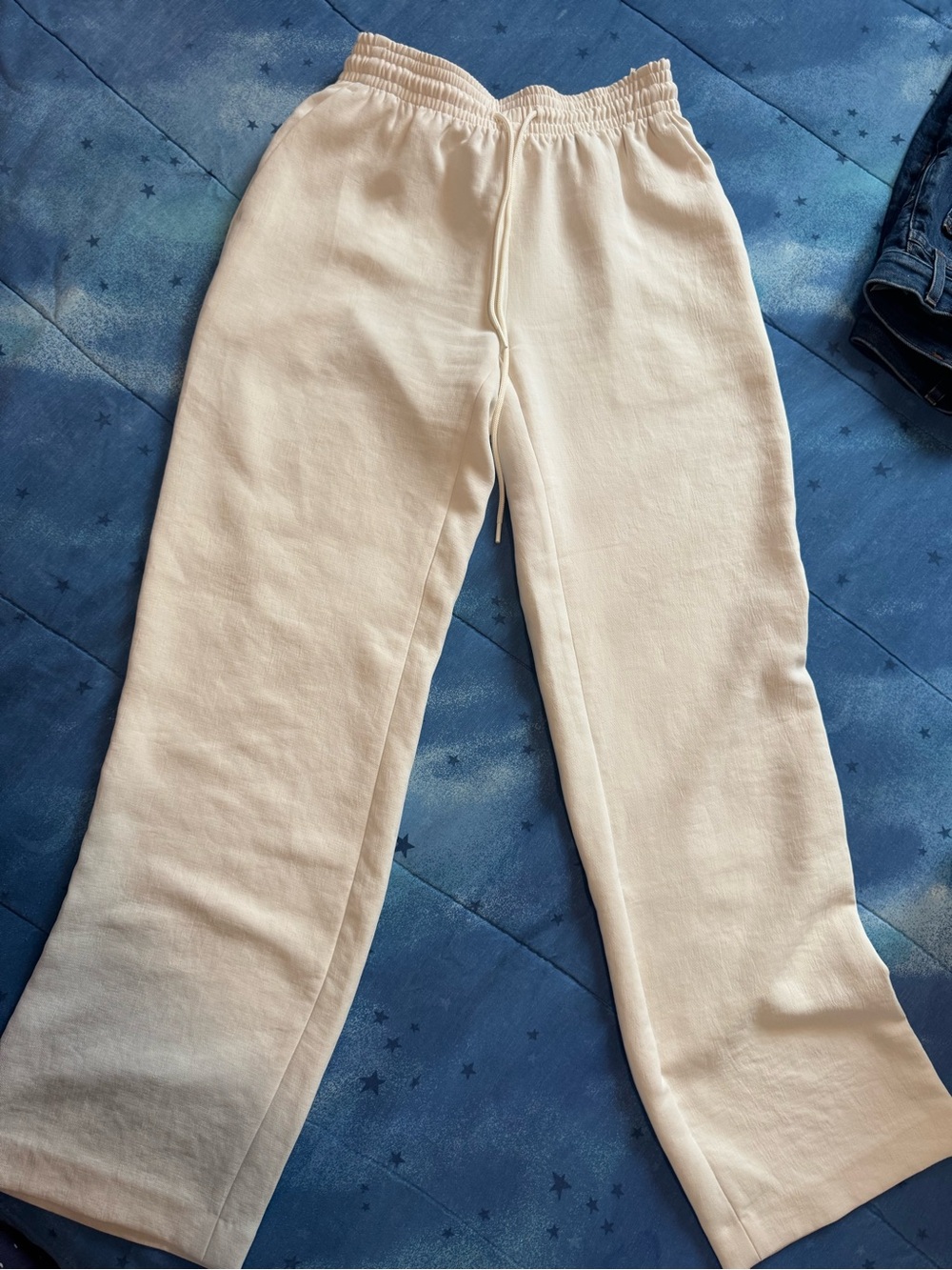 Aritzia pants xs